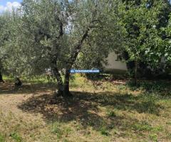 VILLETTA A SCHIERA IN VENDITA IN STRADA DI PORCIVALLE - 3/4