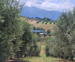 VILLETTA A SCHIERA IN VENDITA IN STRADA DI PORCIVALLE - 4/4
